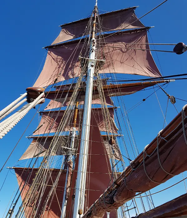 Mitsegeln auf der Eye of the wind - Tallshipfriends Deutschland