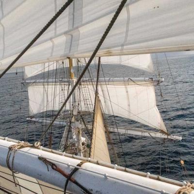 24 Mit Wellengang Web